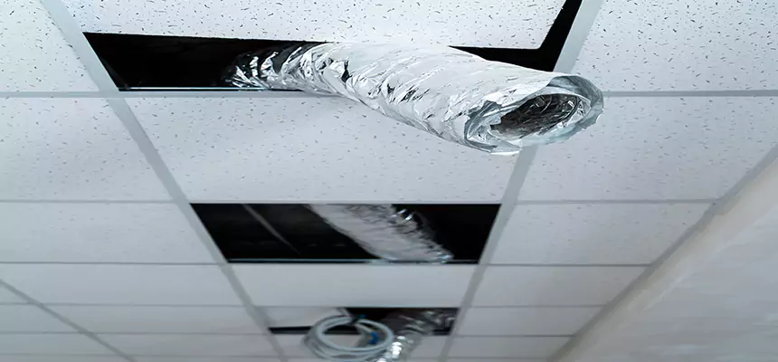 Our Air Duct Pet Hair Removal Services in Matthews, NC