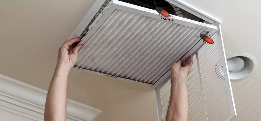 Our Insect Removal from Air Ducts Services in Matthews, NC