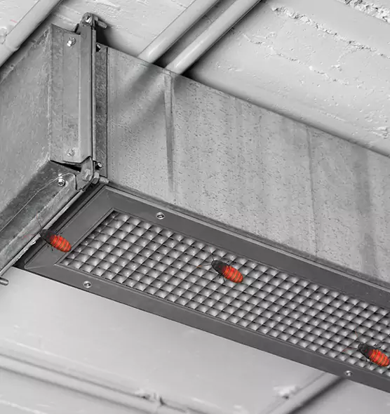 About Air Duct Cockroach Removal in Matthews, NC