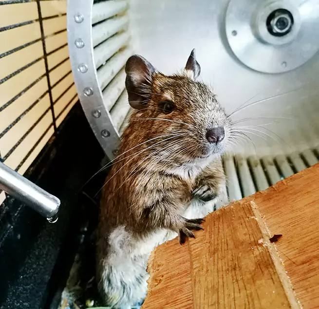 Why Homeowners & Businesses Trust Us Matthews, NC?